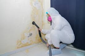 Best Crawl Space Mold Remediation  in Colton, CA